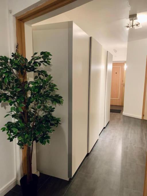 Grand Appartement 2 Chambres 5 Pers Max, Vue Panoramique Avec Parking Mulhouse Eksteriør billede