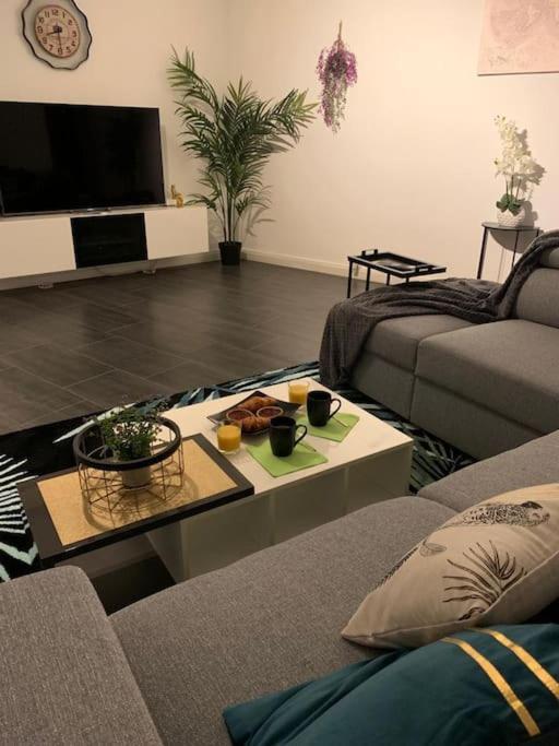 Grand Appartement 2 Chambres 5 Pers Max, Vue Panoramique Avec Parking Mulhouse Eksteriør billede