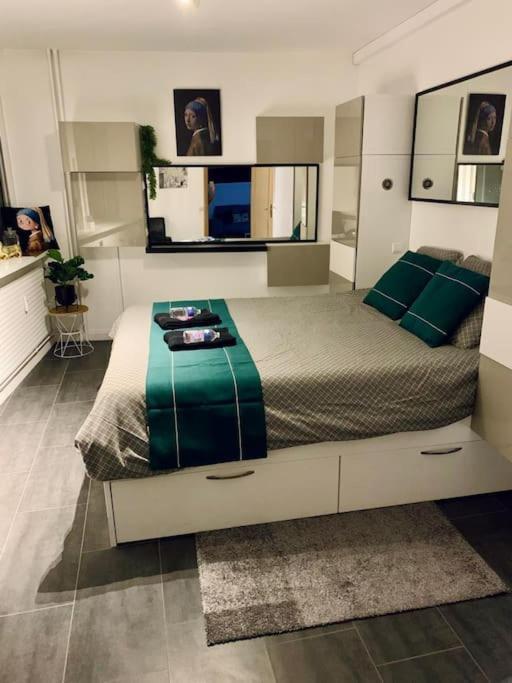 Grand Appartement 2 Chambres 5 Pers Max, Vue Panoramique Avec Parking Mulhouse Eksteriør billede