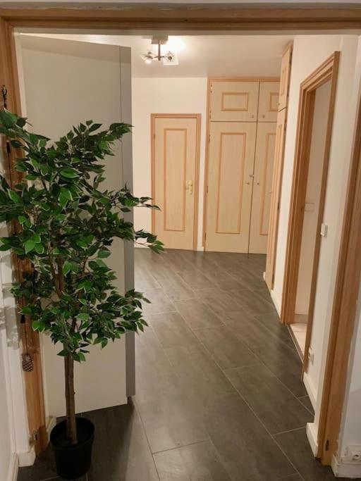 Grand Appartement 2 Chambres 5 Pers Max, Vue Panoramique Avec Parking Mulhouse Eksteriør billede