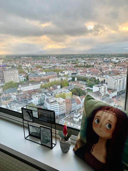 Grand Appartement 2 Chambres 5 Pers Max, Vue Panoramique Avec Parking Mulhouse Eksteriør billede